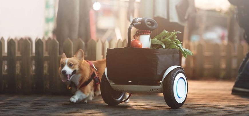 Гіроскутер Segway S-PLUS s_sp_w фото