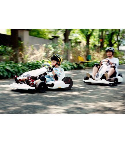 Ninebot GoKart Kit + miniPro White nb_gk_kit_+mp_w фото