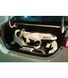 Ninebot GoKart Kit + miniPro White nb_gk_kit_+mp_w фото 8